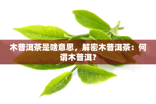 木普洱茶是啥意思，解密木普洱茶：何谓木普洱？