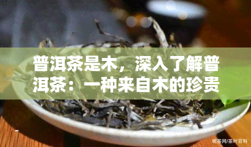 普洱茶是木，深入了解普洱茶：一种来自木的珍贵饮品