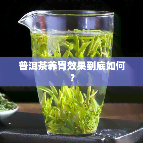 普洱茶养胃效果到底如何？