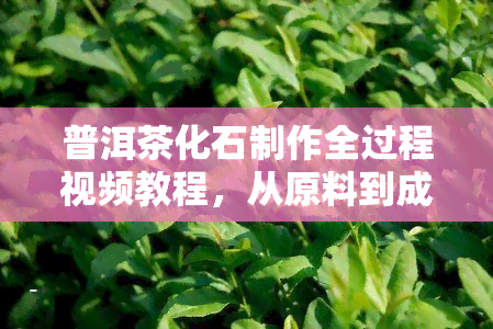 普洱茶化石制作全过程视频教程，从原料到成品全方位解析