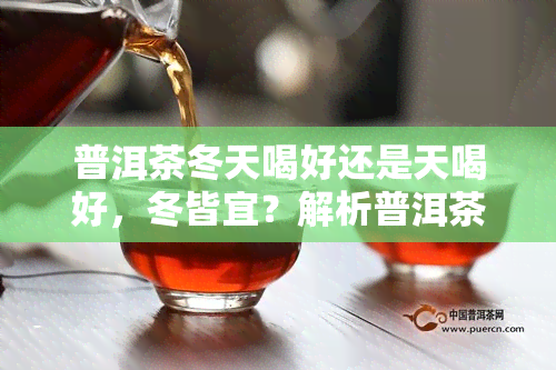 普洱茶冬天喝好还是天喝好，冬皆宜？解析普洱茶的节饮用之谜