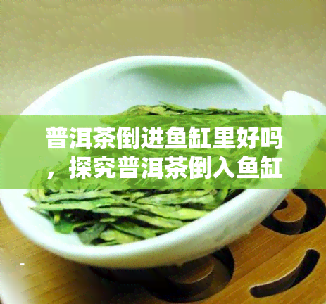 普洱茶倒进鱼缸里好吗，探究普洱茶倒入鱼缸的可行性：对鱼类和水质的影响