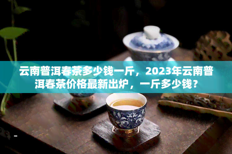 云南普洱春茶多少钱一斤，2023年云南普洱春茶价格最新出炉，一斤多少钱？