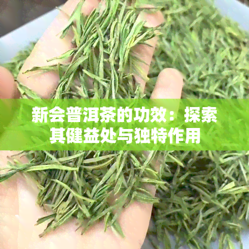 新会普洱茶的功效：探索其健益处与独特作用