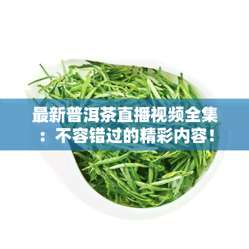 最新普洱茶直播视频全集：不容错过的精彩内容！