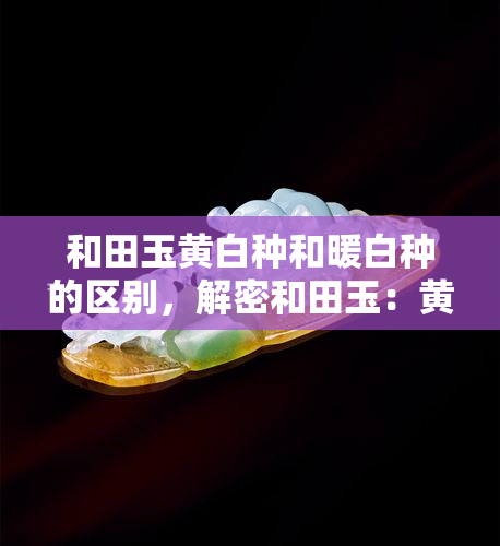 和田玉黄白种和暖白种的区别，解密和田玉：黄白种与暖白种的微妙区别