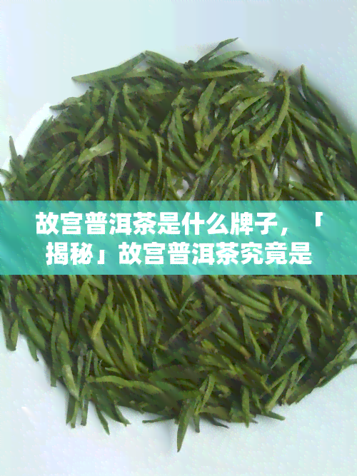 故宫普洱茶是什么牌子，「揭秘」故宫普洱茶究竟是哪个的？