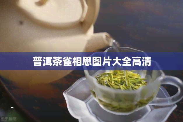 普洱茶雀相思图片大全高清