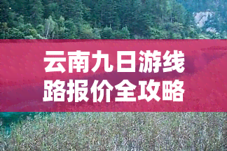 云南九日游线路报价全攻略：详细报价表及查询方法