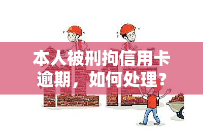 本人被刑拘信用卡逾期，如何处理？