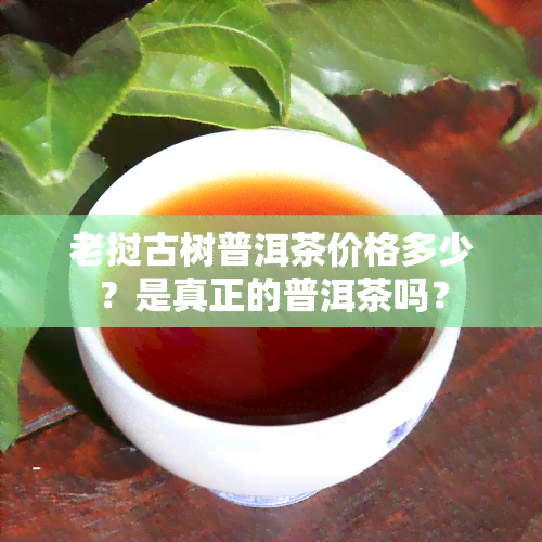 老挝古树普洱茶价格多少？是真正的普洱茶吗？