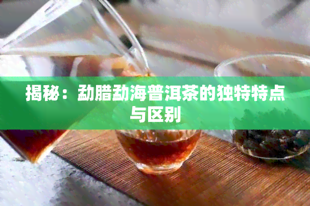 揭秘：勐腊勐海普洱茶的独特特点与区别