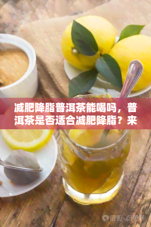 减肥降脂普洱茶能喝吗，普洱茶是否适合减肥降脂？来了解一下！