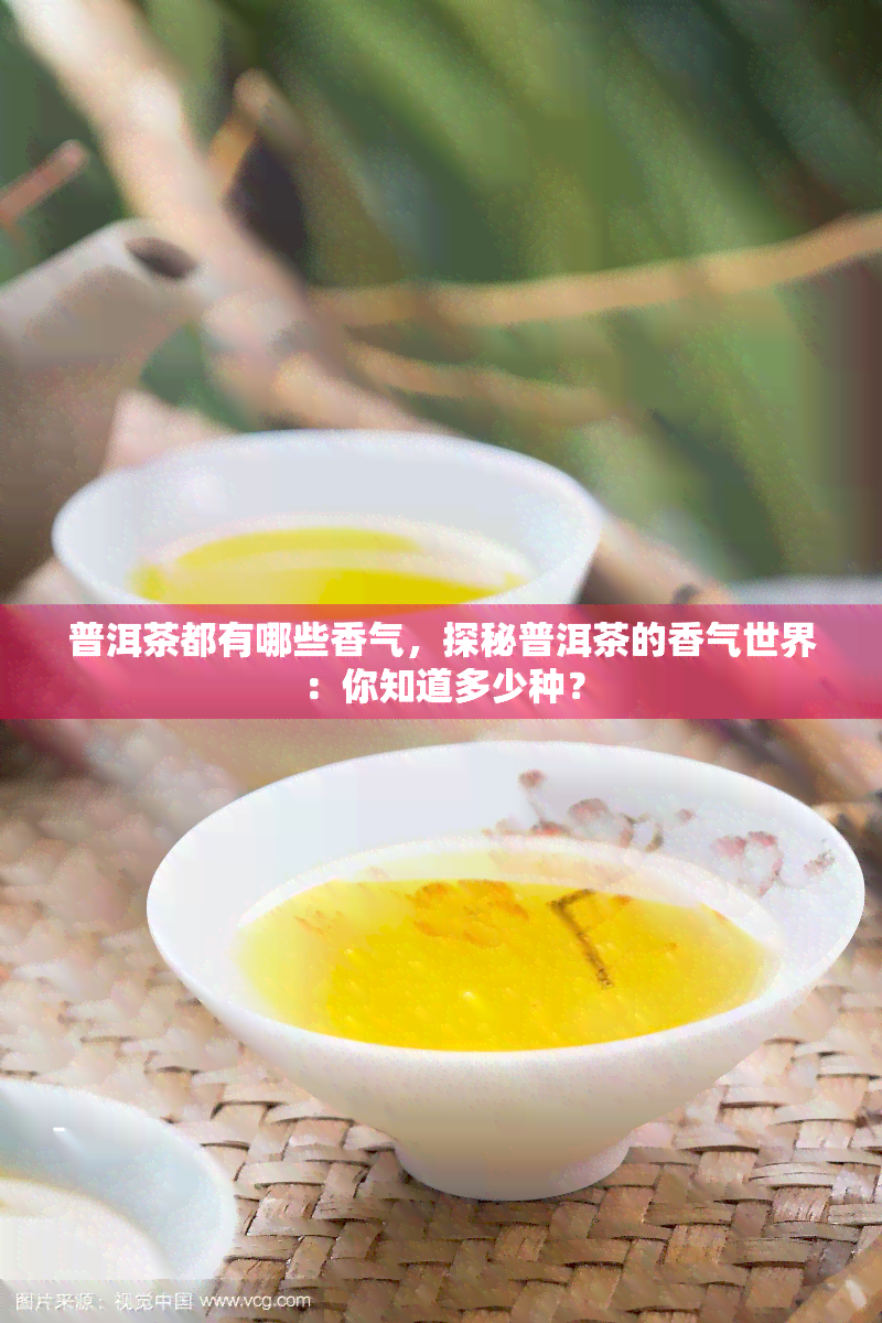 普洱茶都有哪些香气，探秘普洱茶的香气世界：你知道多少种？