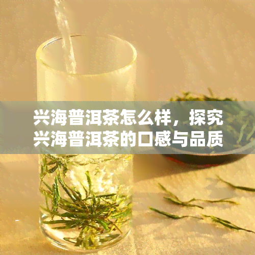 兴海普洱茶怎么样，探究兴海普洱茶的口感与品质，你是否被它圈粉？