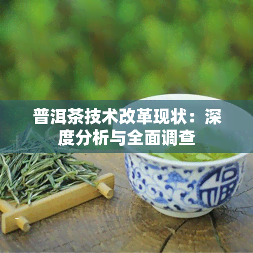 普洱茶技术改革现状：深度分析与全面调查