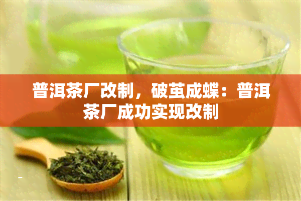 普洱茶厂改制，破茧成蝶：普洱茶厂成功实现改制