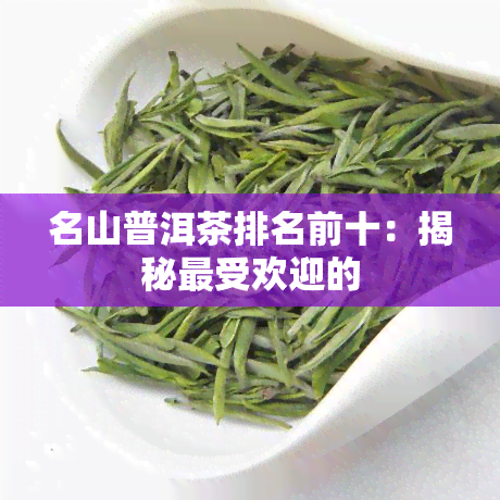 名山普洱茶排名前十：揭秘更受欢迎的