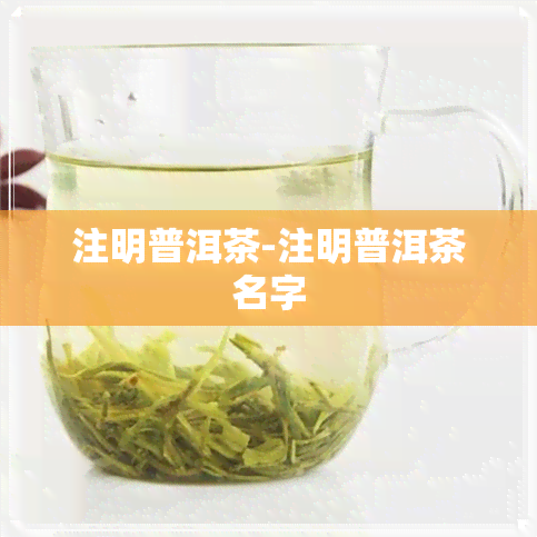 注明普洱茶-注明普洱茶名字