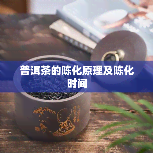 普洱茶的陈化原理及陈化时间