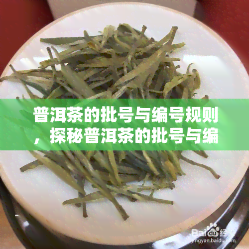 普洱茶的批号与编号规则，探秘普洱茶的批号与编号规则：了解茶叶背后的信息