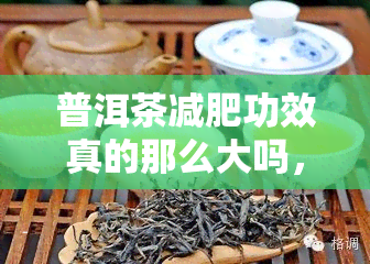 普洱茶减肥功效真的那么大吗，揭秘普洱茶的减肥效果：是否真的那么显著？