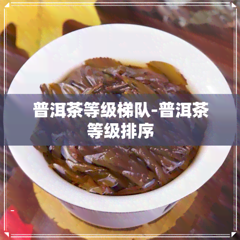 普洱茶等级梯队-普洱茶等级排序