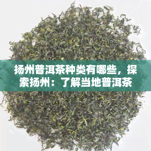 扬州普洱茶种类有哪些，探索扬州：了解当地普洱茶的丰富种类