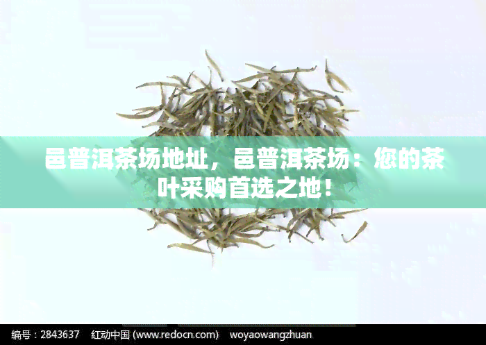 邑普洱茶场地址，邑普洱茶场：您的茶叶采购首选之地！