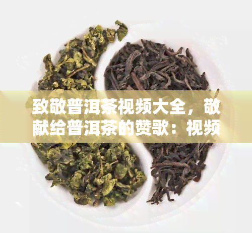 致敬普洱茶视频大全，敬献给普洱茶的赞歌：视频大全集锦