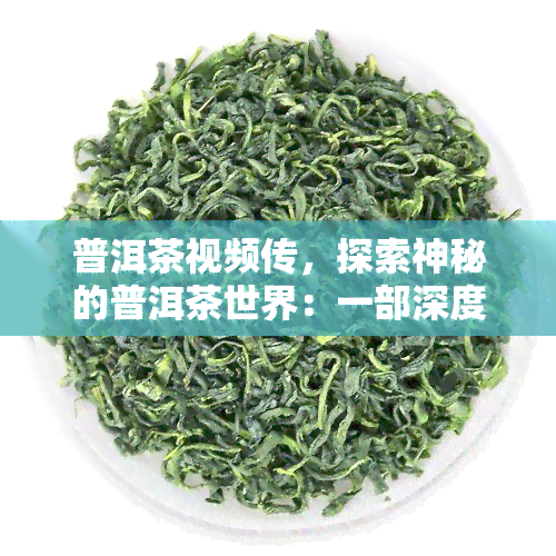 普洱茶视频传，探索神秘的普洱茶世界：一部深度视频传