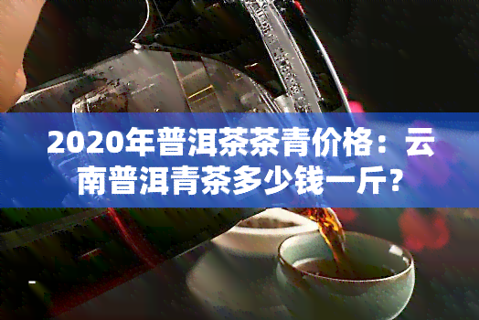 2020年普洱茶茶青价格：云南普洱青茶多少钱一斤？