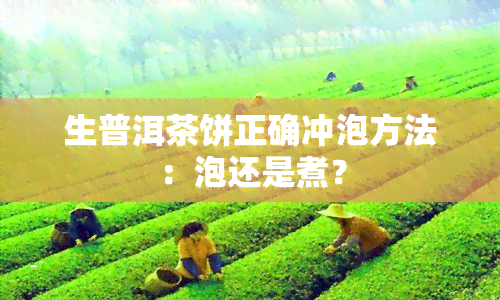 生普洱茶饼正确冲泡方法：泡还是煮？