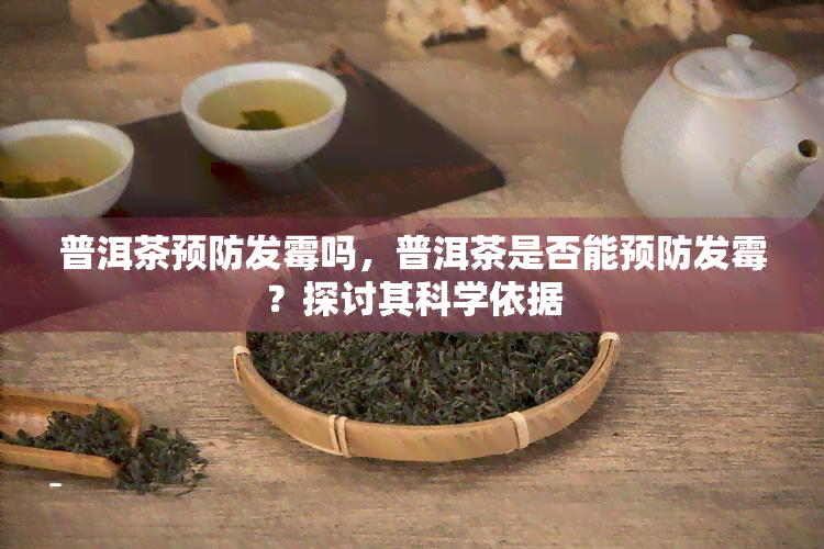 普洱茶预防发霉吗，普洱茶是否能预防发霉？探讨其科学依据