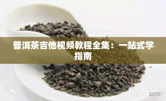 普洱茶吉他视频教程全集：一站式学指南