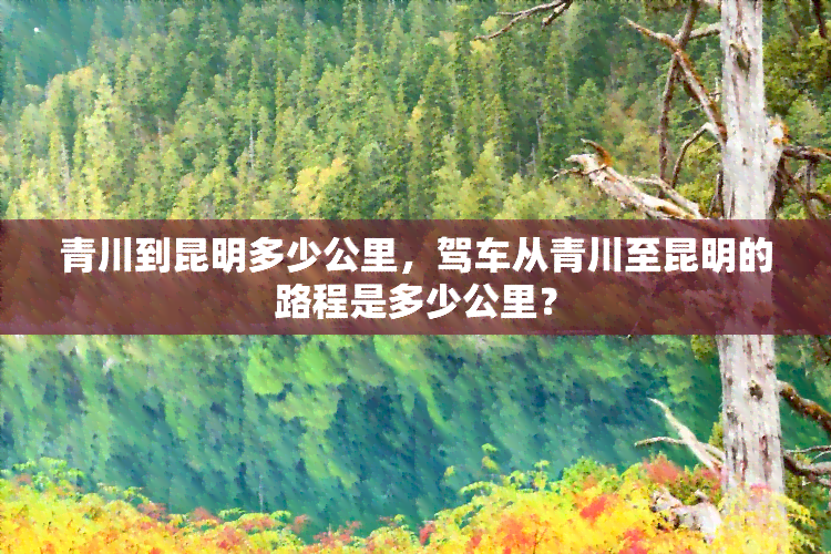 青川到昆明多少公里，驾车从青川至昆明的路程是多少公里？