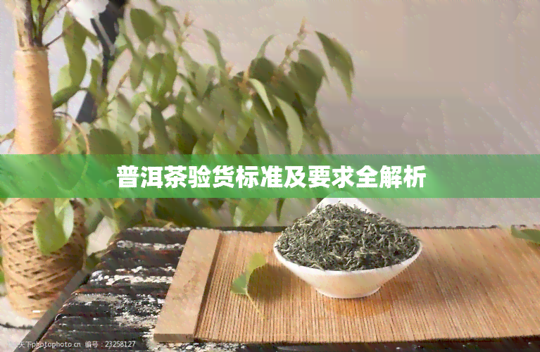 普洱茶验货标准及要求全解析