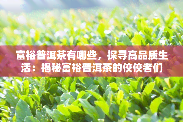 富裕普洱茶有哪些，探寻高品质生活：揭秘富裕普洱茶的佼佼者们