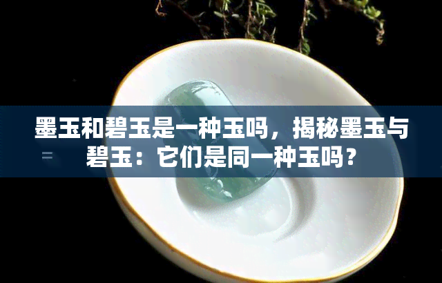 墨玉和碧玉是一种玉吗，揭秘墨玉与碧玉：它们是同一种玉吗？