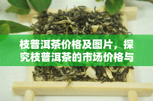 枝普洱茶价格及图片，探究枝普洱茶的市场价格与精美图片！