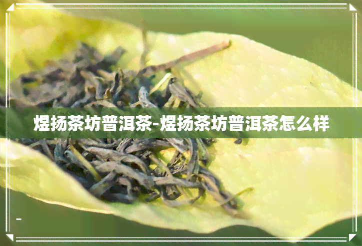 煜扬茶坊普洱茶-煜扬茶坊普洱茶怎么样