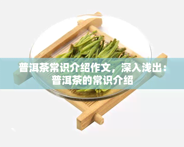 普洱茶常识介绍作文，深入浅出：普洱茶的常识介绍