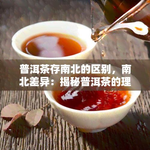 普洱茶存南北的区别，南北差异：揭秘普洱茶的理想存环境