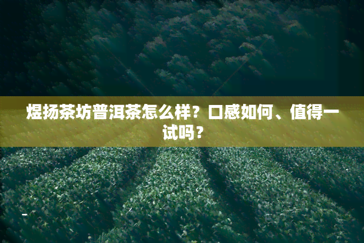 煜扬茶坊普洱茶怎么样？口感如何、值得一试吗？