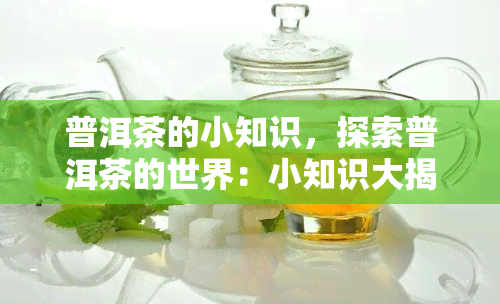 普洱茶的小知识，探索普洱茶的世界：小知识大揭秘