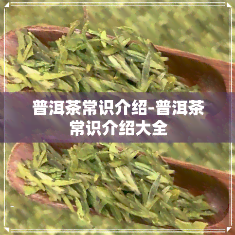 普洱茶常识介绍-普洱茶常识介绍大全