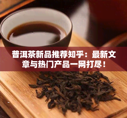 普洱茶新品推荐知乎：最新文章与热门产品一网打尽！