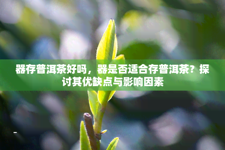 器存普洱茶好吗，器是否适合存普洱茶？探讨其优缺点与影响因素