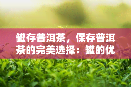 罐存普洱茶，保存普洱茶的完美选择：罐的优势与使用方法