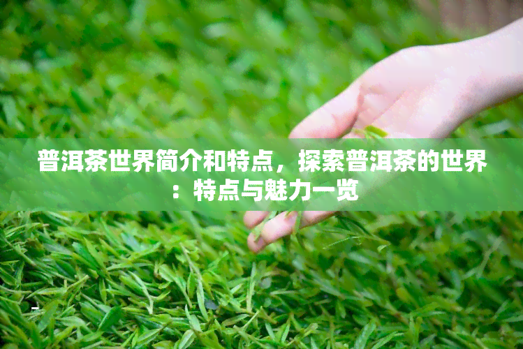 普洱茶世界简介和特点，探索普洱茶的世界：特点与魅力一览